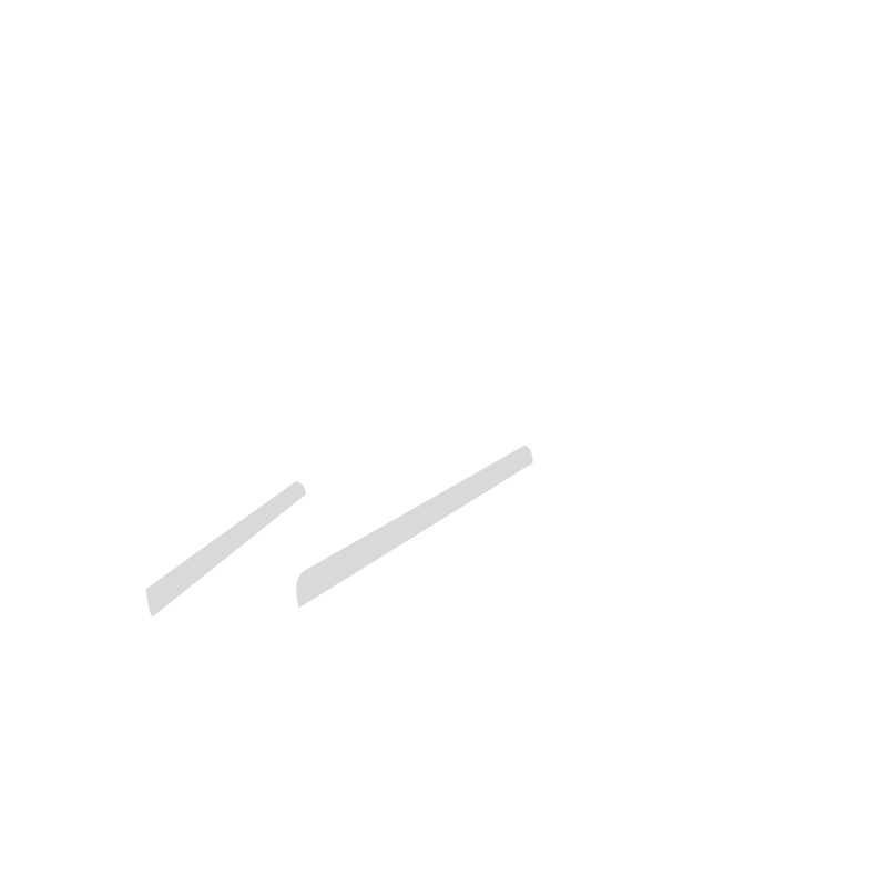 Pets To Go Air Logo